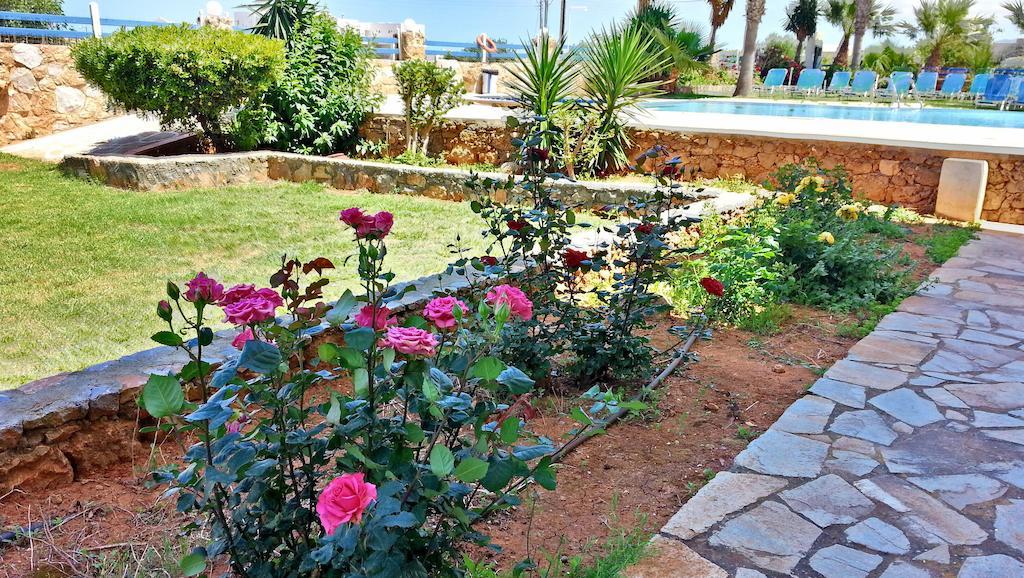 Cretan Family Apartments Malia  Exterior photo